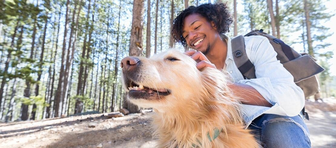 how to treat your yard for dog worms