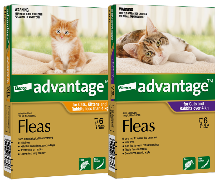 Combined Flea And Worm Treatment For Cats Nz Great Purchase www