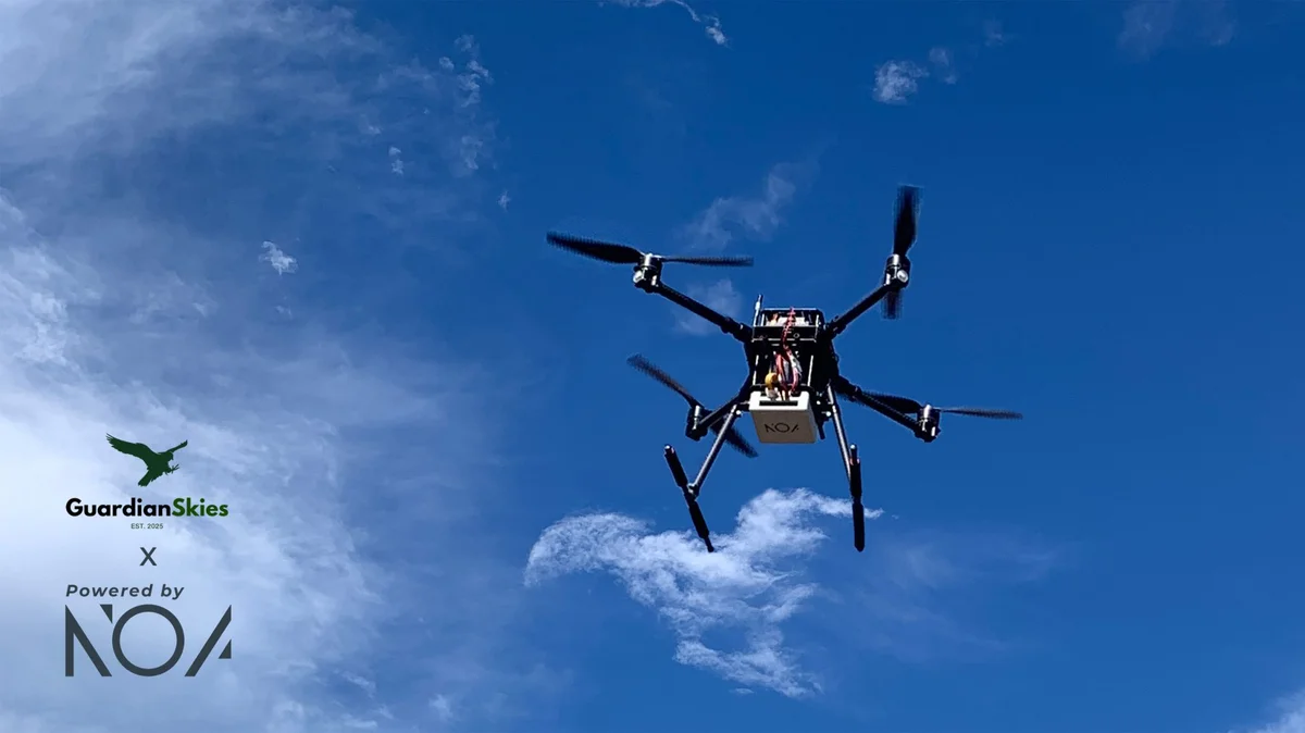 Picture of GuardianSkies drone image