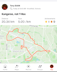 Tony's 'Kangaroo' Strava art