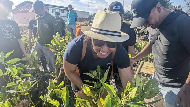 Picture of a Luminary team member planting a mangrove tree in Bali
