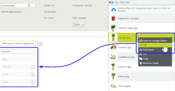 Generating image metadata and SVG thumbnails in Episerver — Luminary