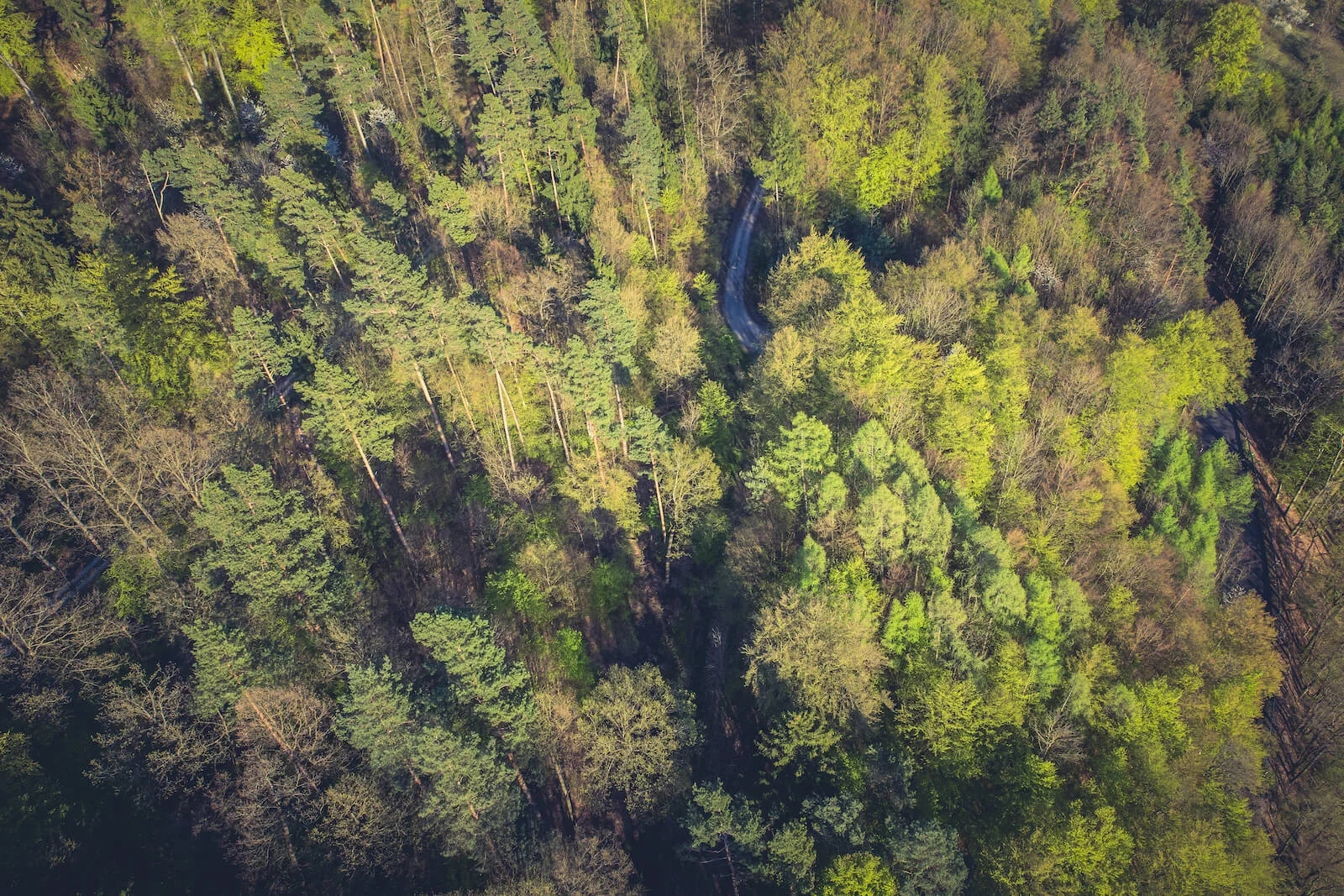 Vanguard Investment Chart imagery