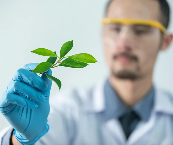 scientist showing a plant