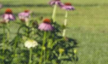 Solutions_IndividualPages-StyleDesign-Screens-Alum-AlumColor.jpg