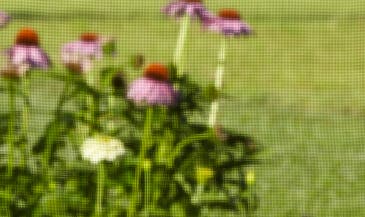 Solutions_IndividualPages-StyleDesign-Screens-UltraVue.jpg