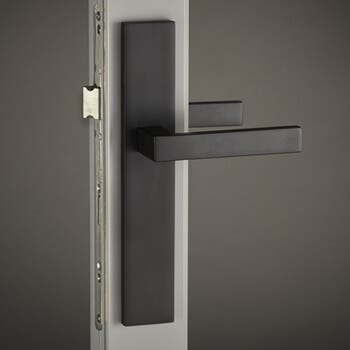 AshleyNorton-_0009_Brass-MeridianLever-CityBP-FlatBlack.jpg