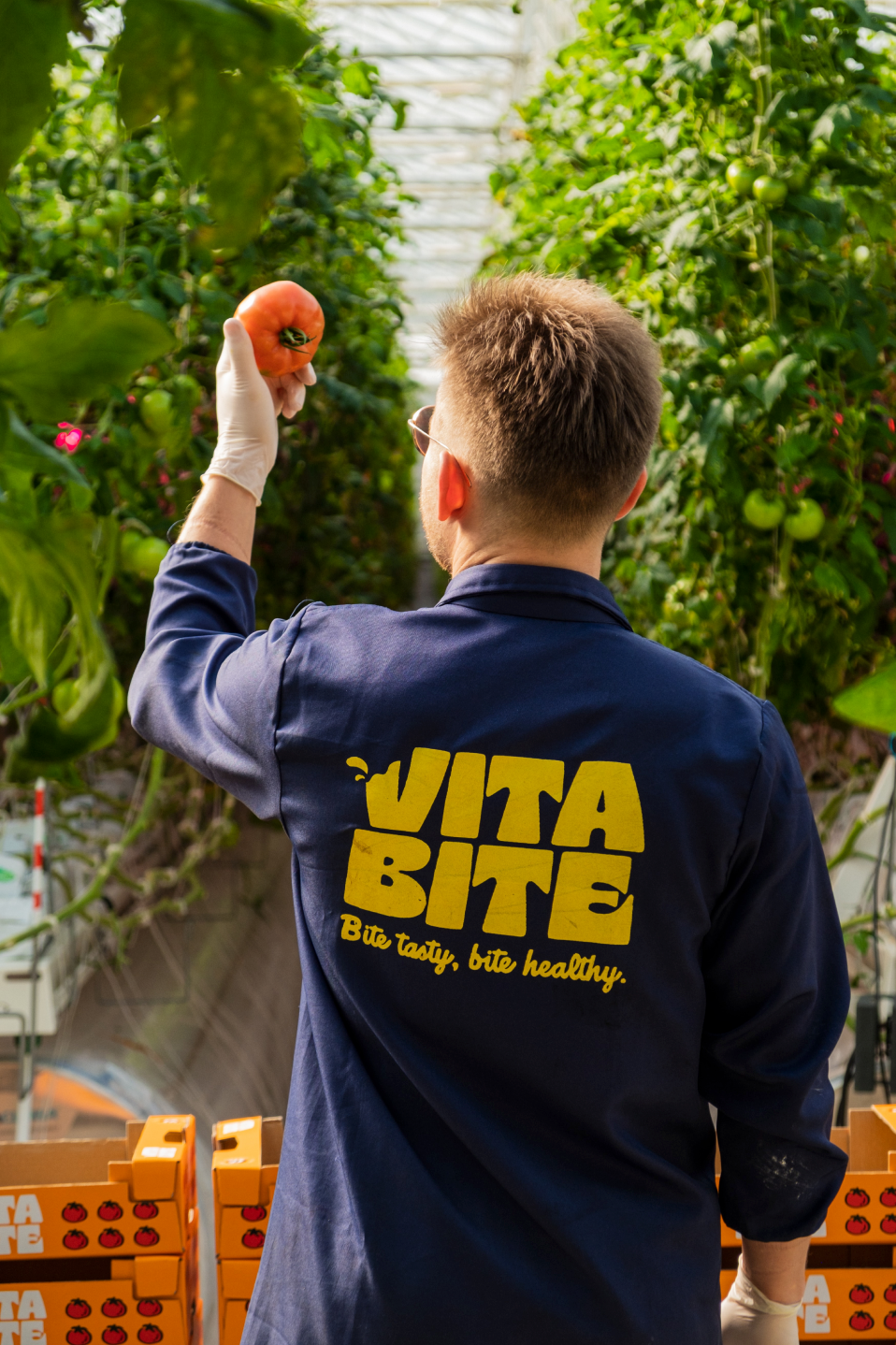 vertical farmer and racks with plants