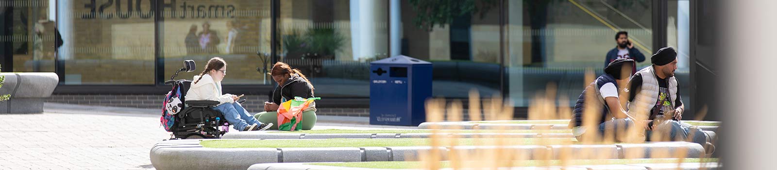 Students sat in the university campus