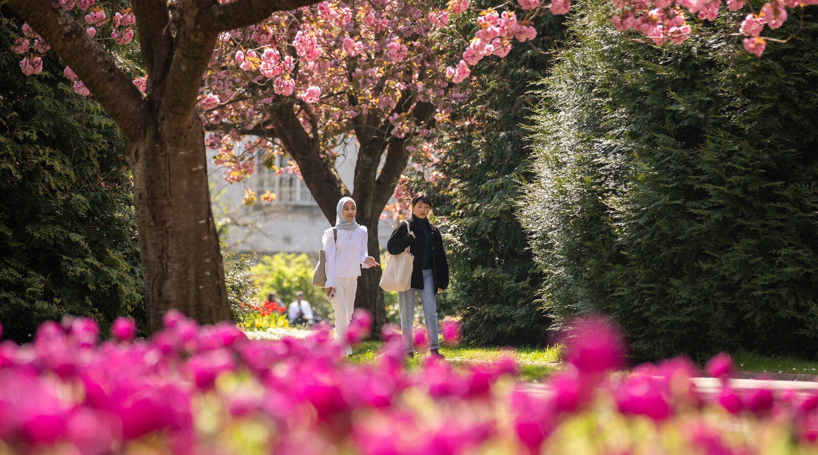 Cardiff University International Study Centre: Study Abroad In Wales