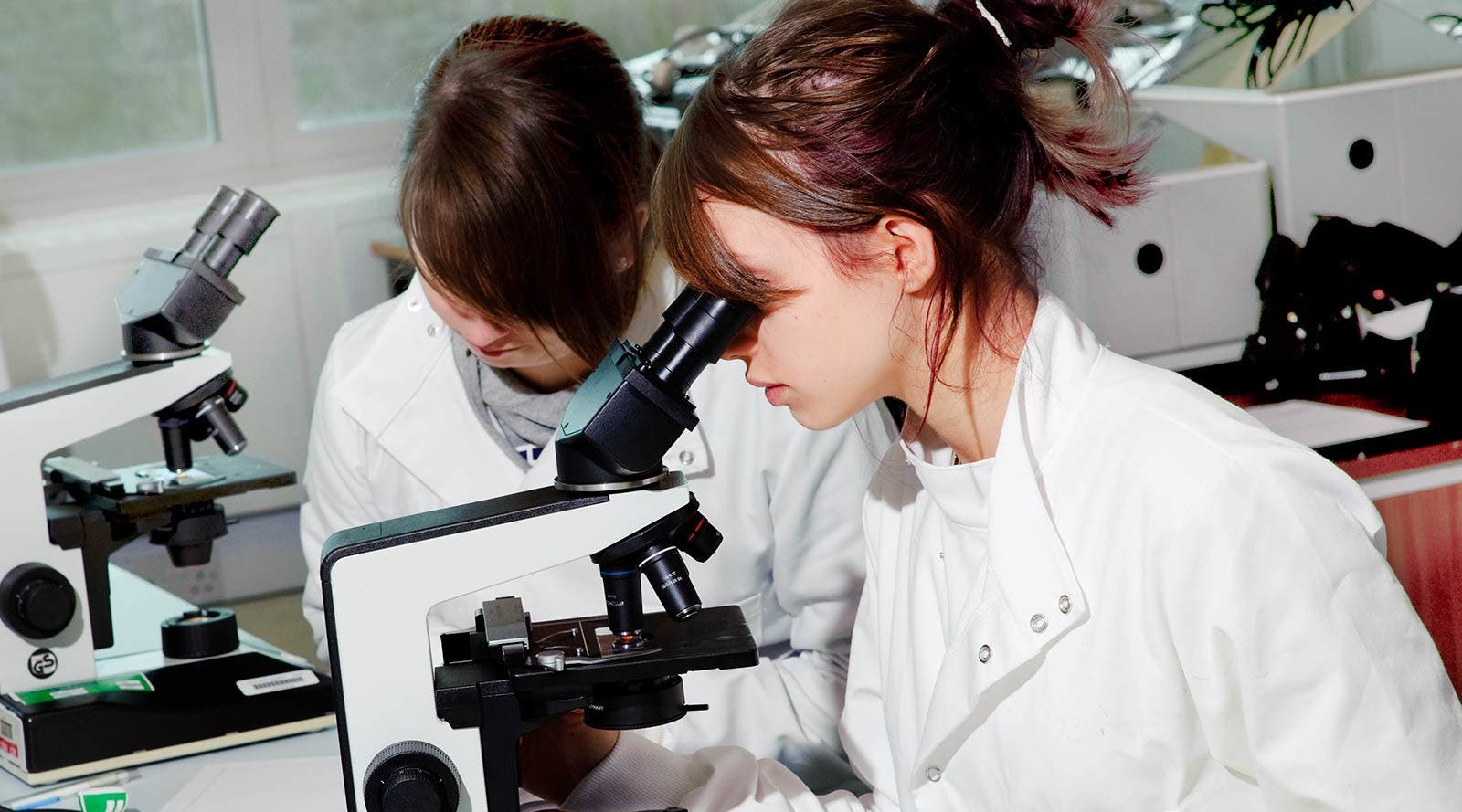 What can you do with a biomedical science degree? | University of