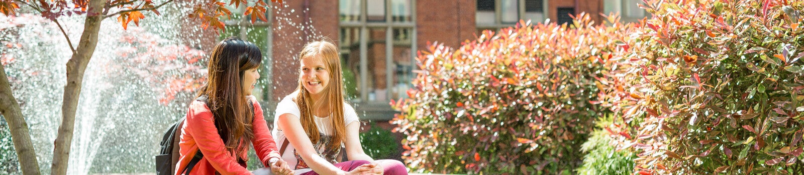 Students on campus at the University of Sheffield