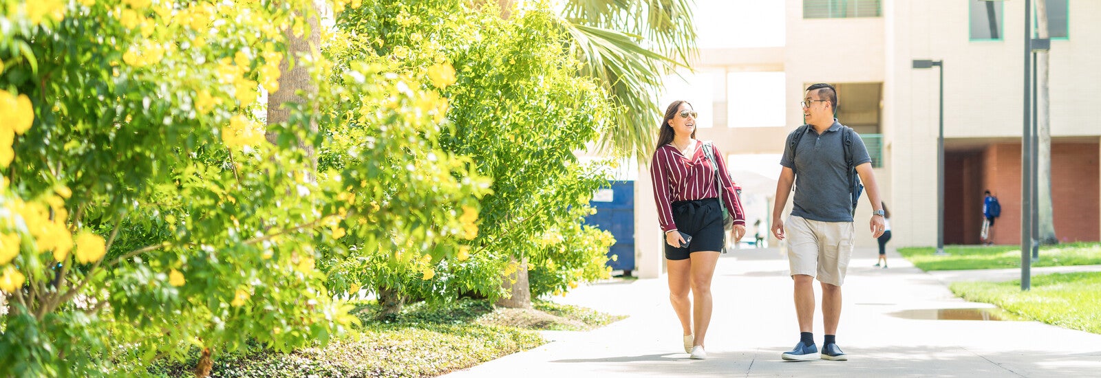 Students walking past trees on campus
