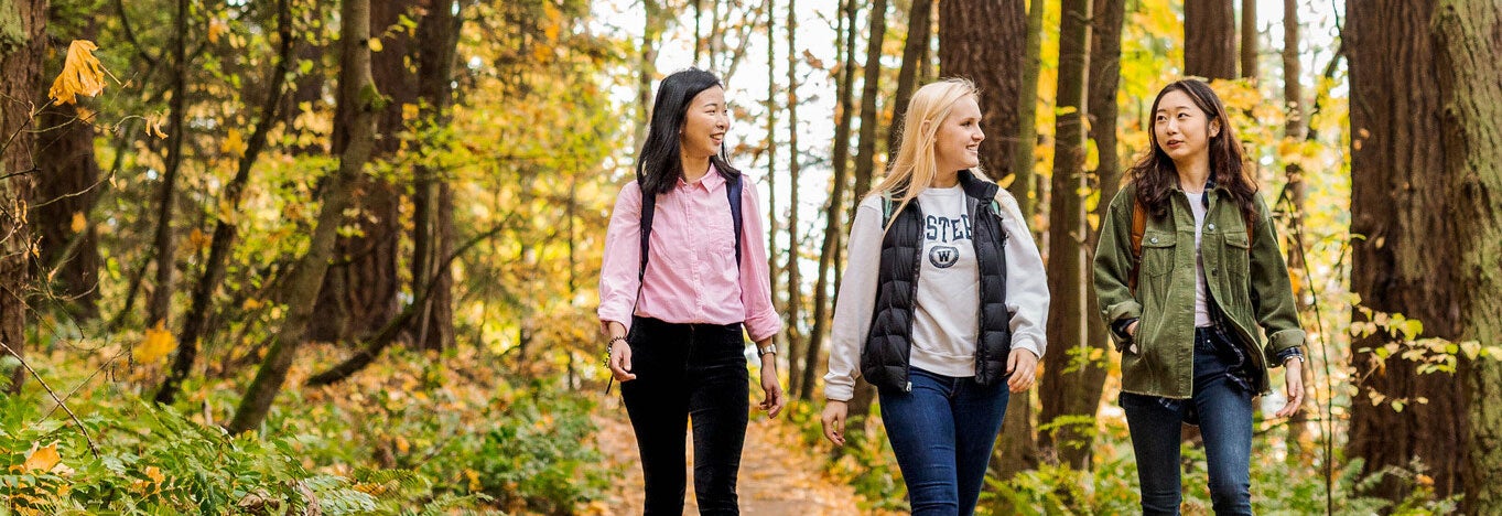 Three students walking through a forest