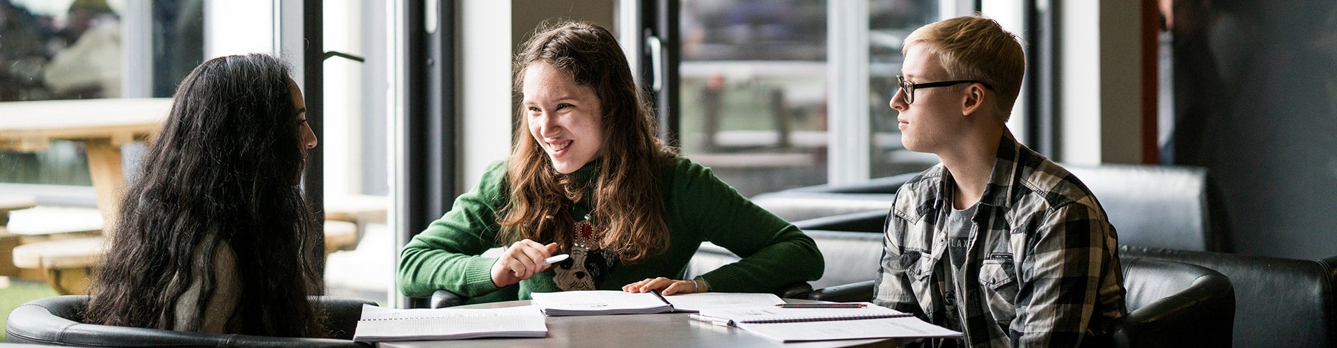 Students studying together