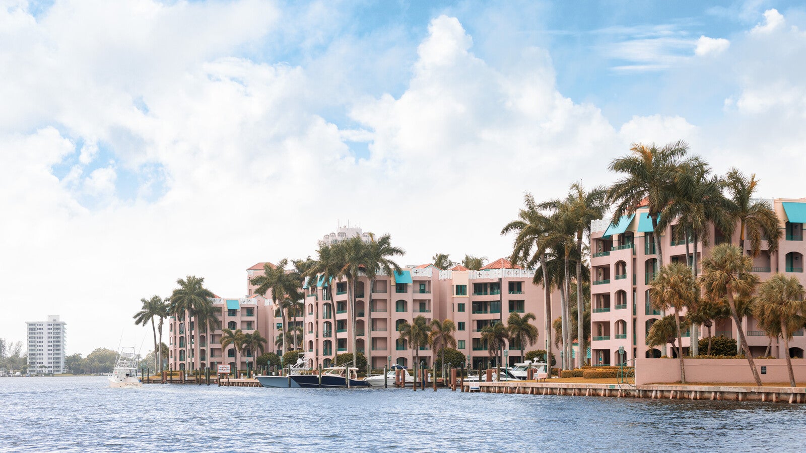 FLORIDA ATLANTIC UNIVERSITY FOR INTERNATIONAL STUDENTS visual data 2