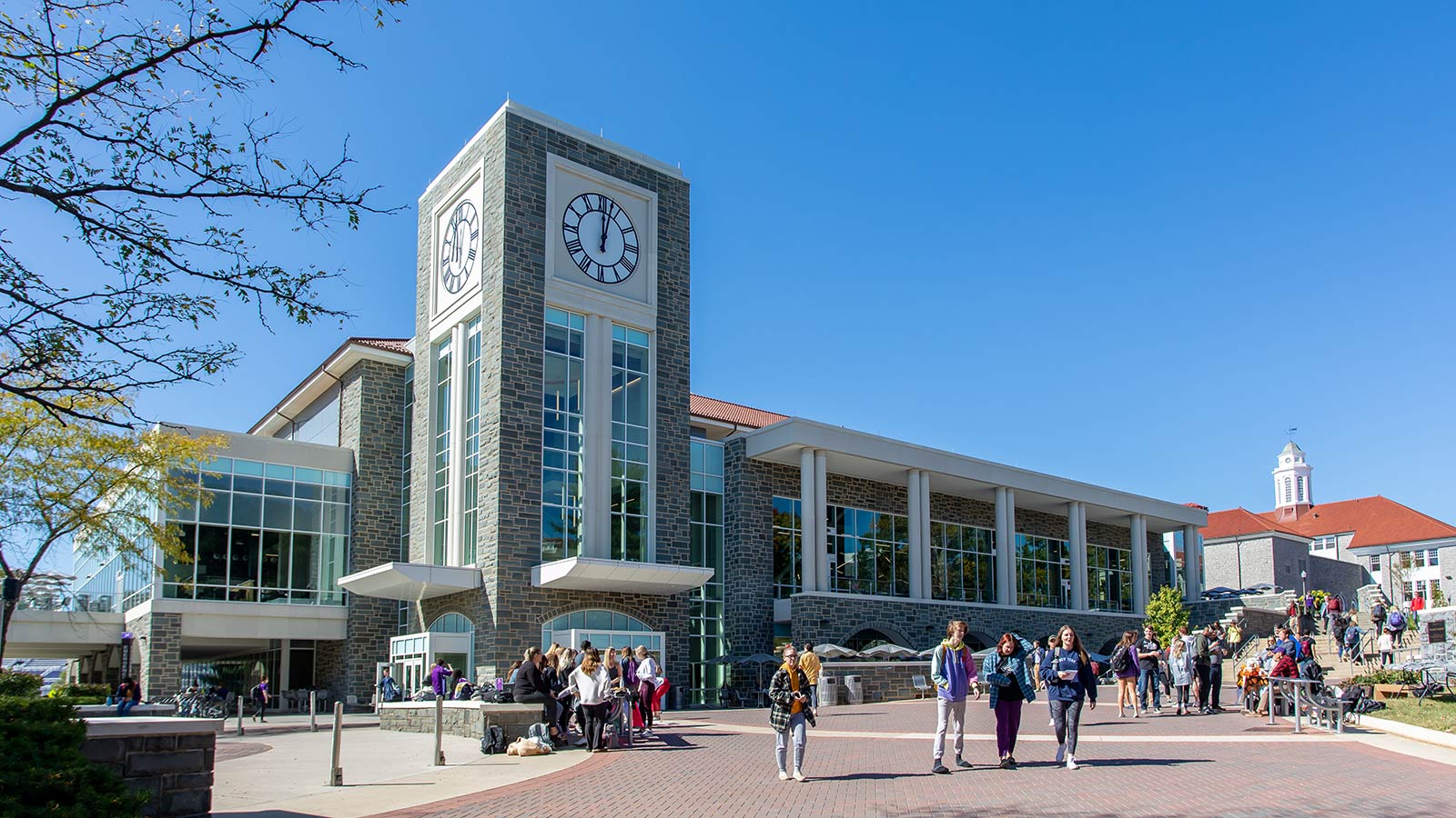 Q and A with James Madison International Study Center Director