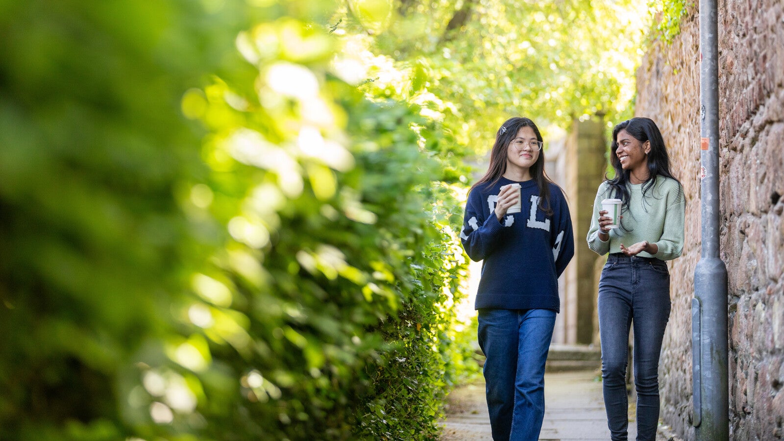 Study Group - Helping International students in Higher Education