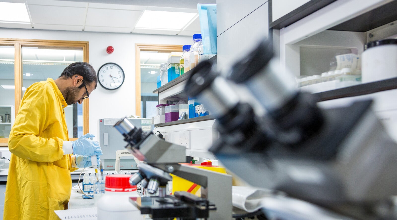 What is biomedical engineering? Career, role & education