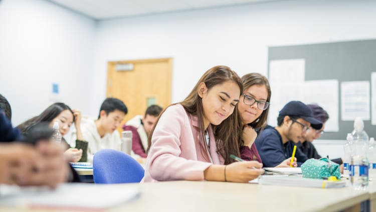 Step-by-step guide on how to write a research paper