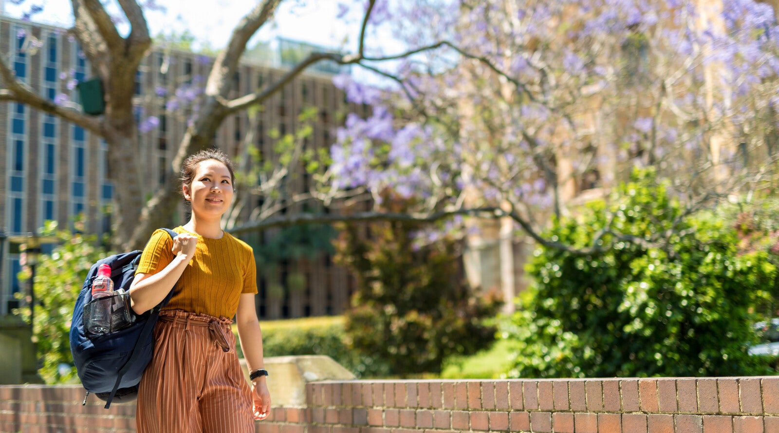 Study Group welcomes the Australian international education recovery