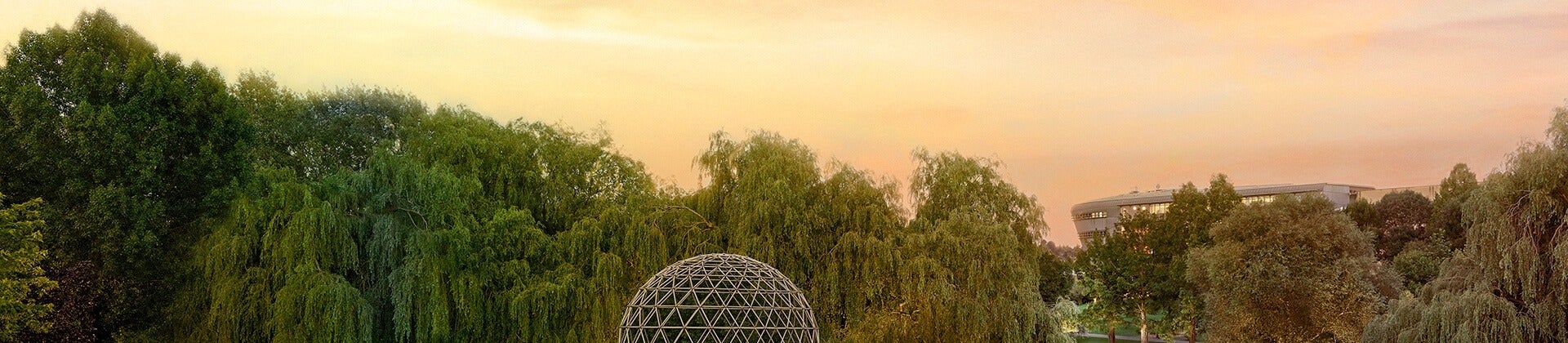 日落时分萨里大学风景