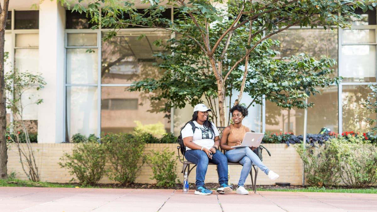 Entry Requirements Long Island University entry-requirements-long-island-university