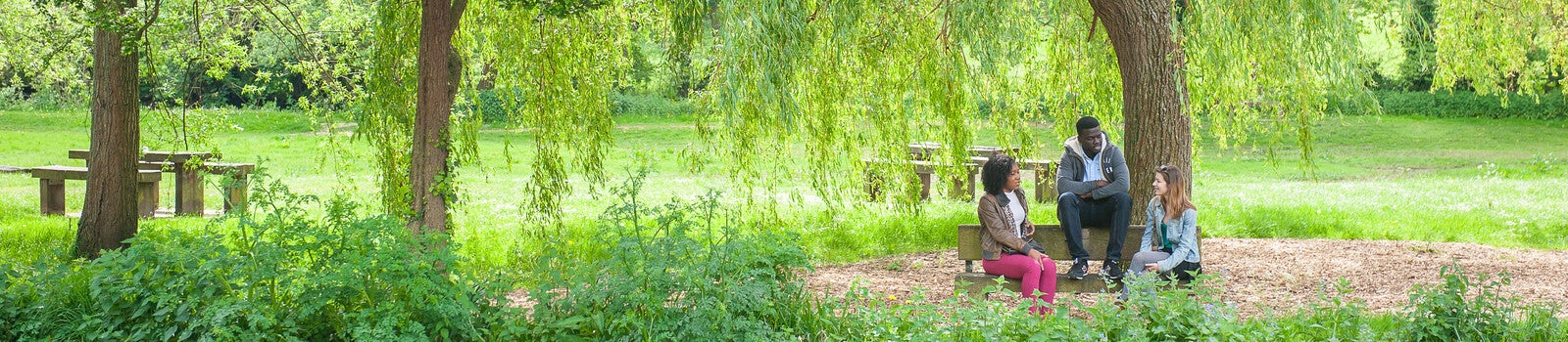 三名学生坐在绿地旁的长椅上