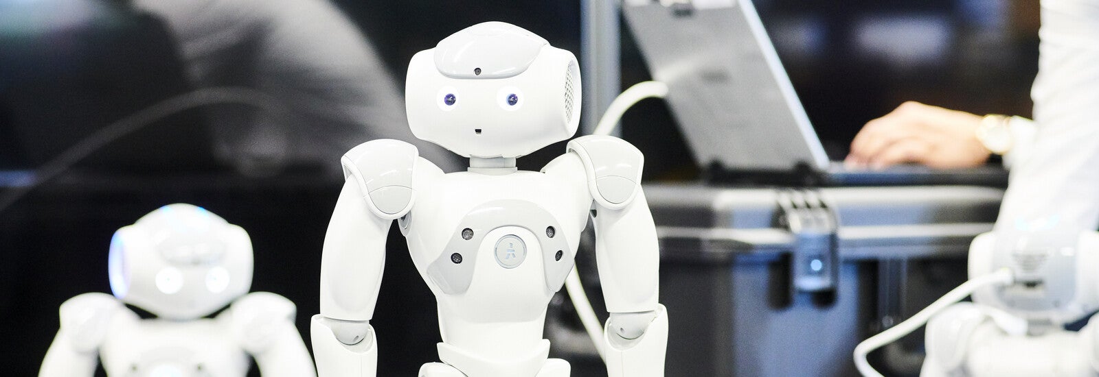 A small robot in front of two other small robots