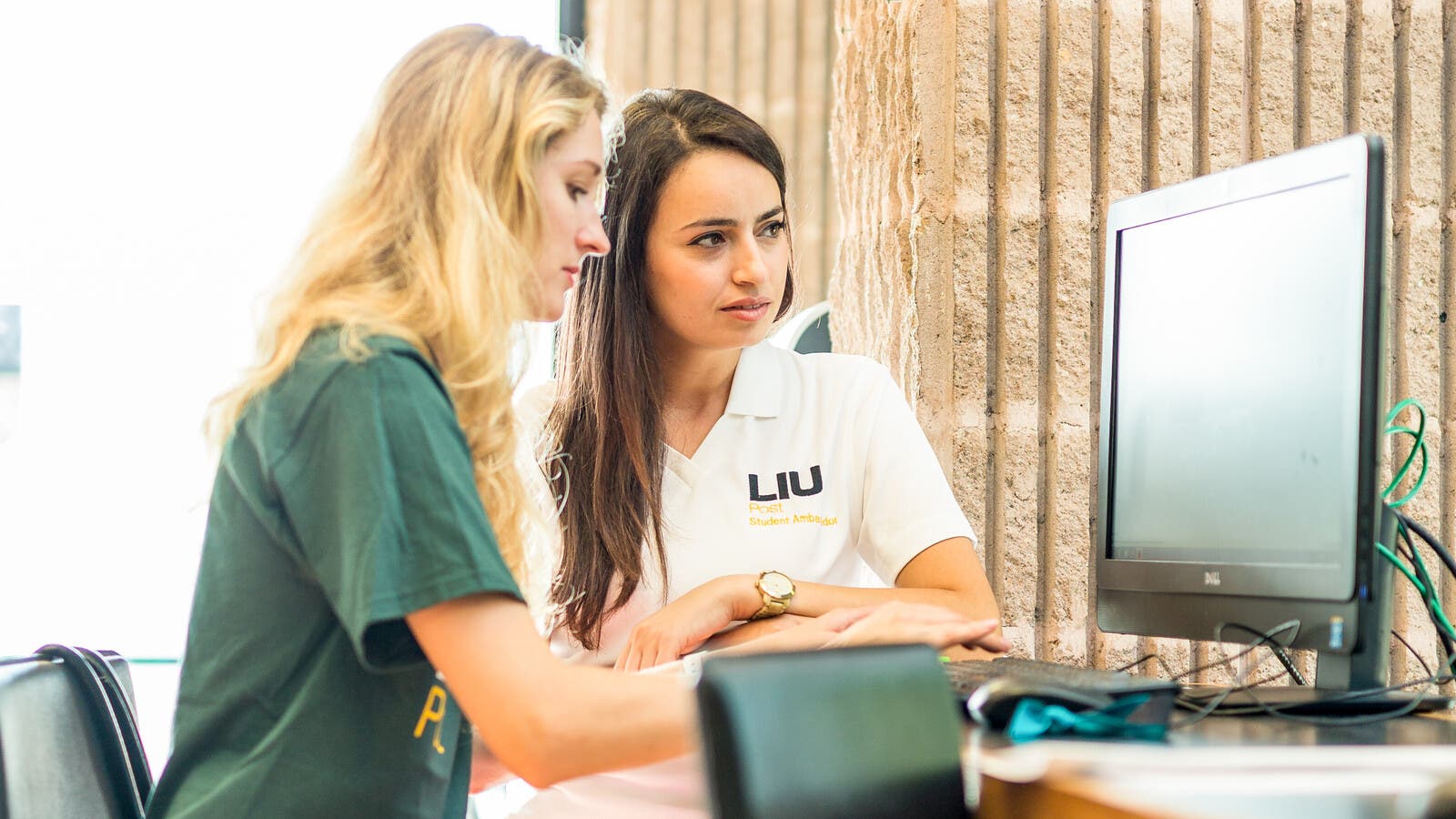 Lues Computer School International Study Programs USA | Long Island University