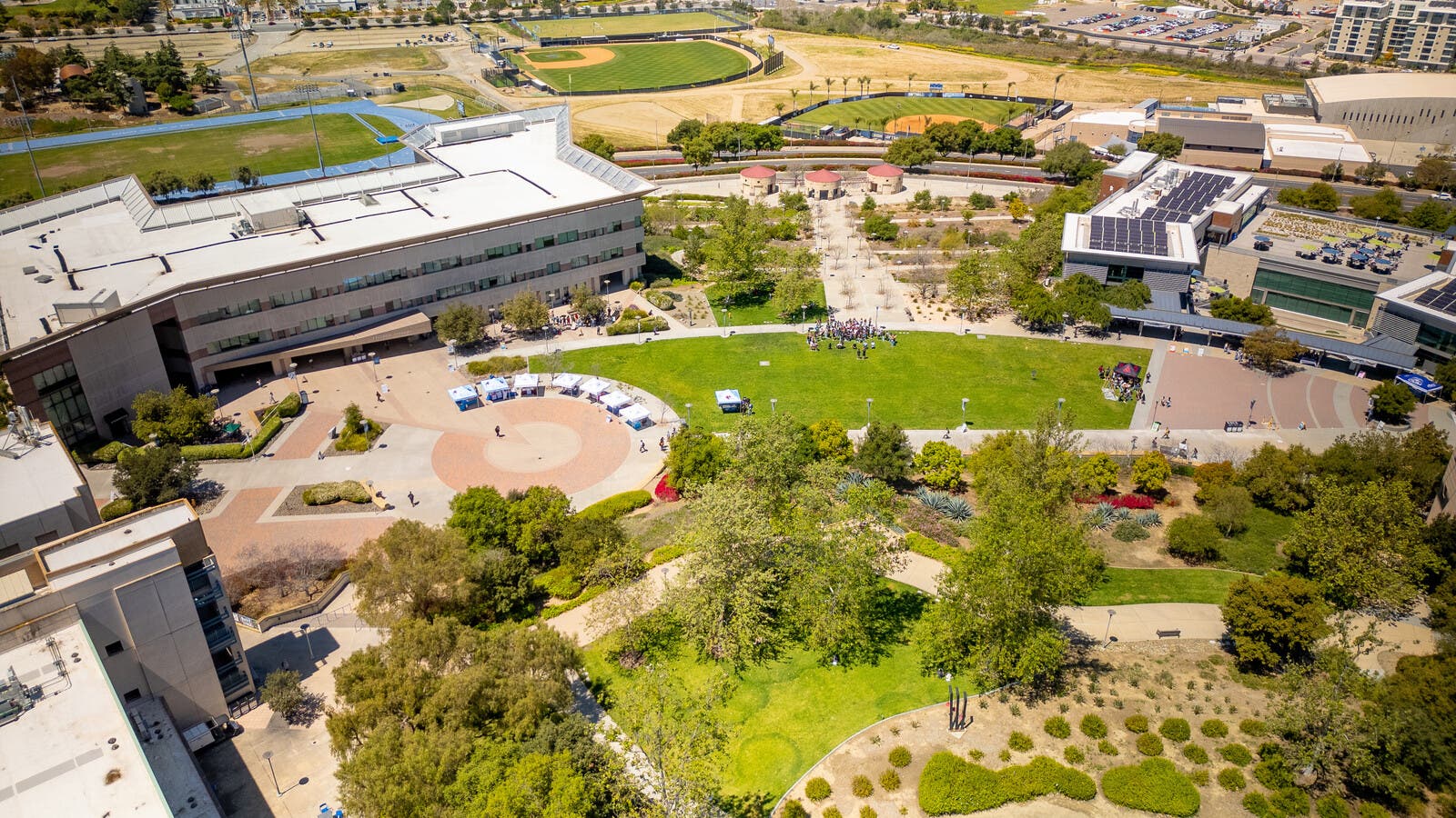 Study at California State University San Marcos | Study Group