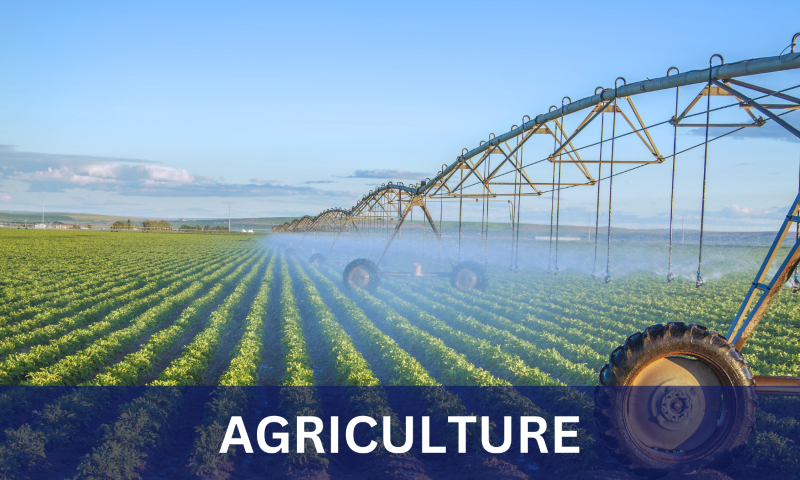 Agriculture 