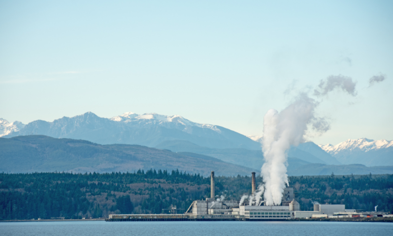 Pulp and Paper plant 