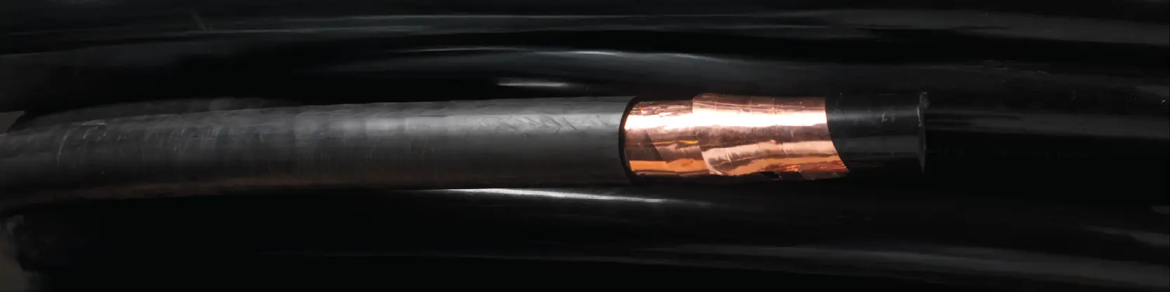 Newsletter - MV-105 - Banner Image