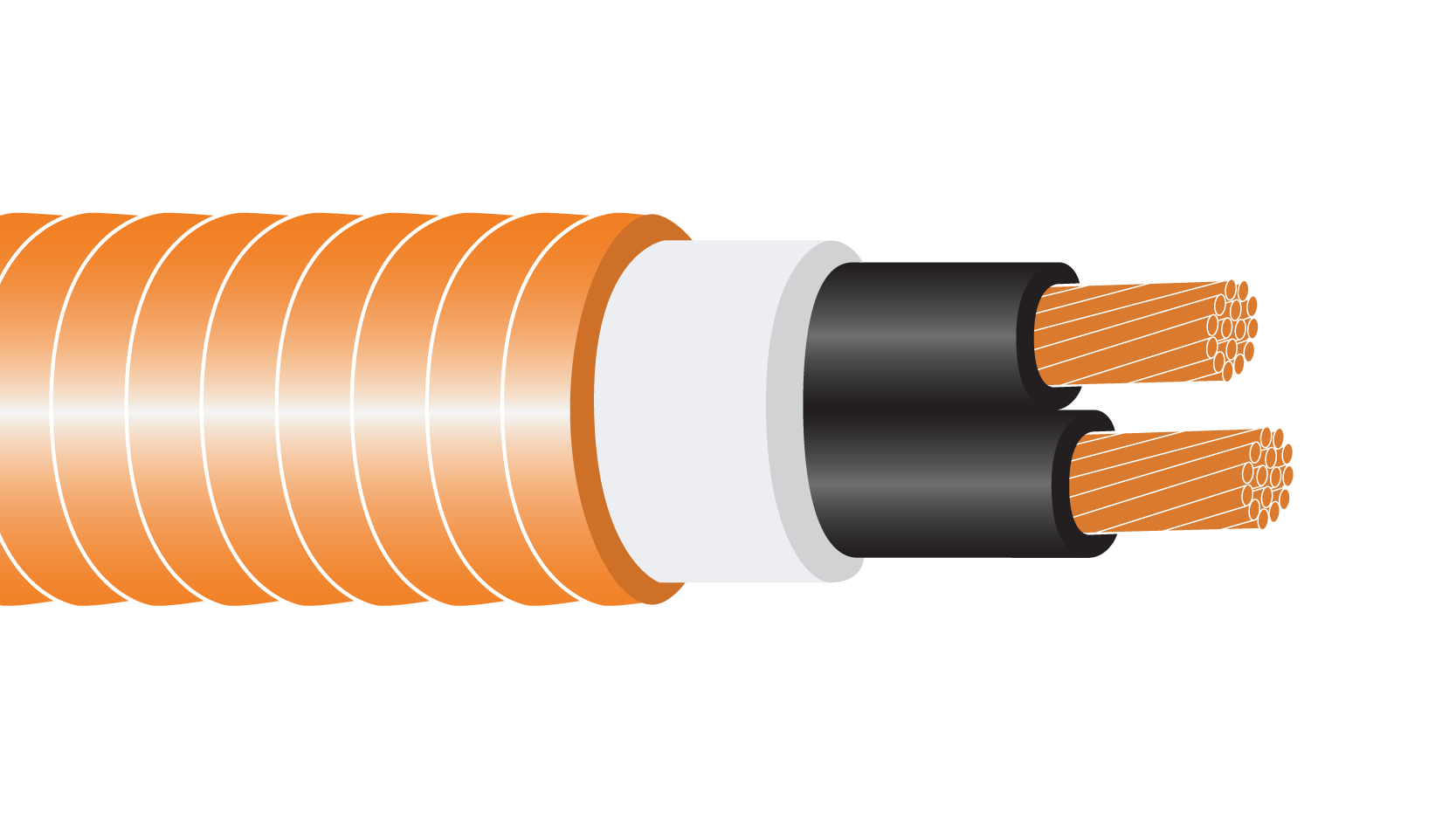 Core Products - Vitalink