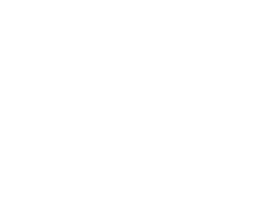 Sauna Detox Icon