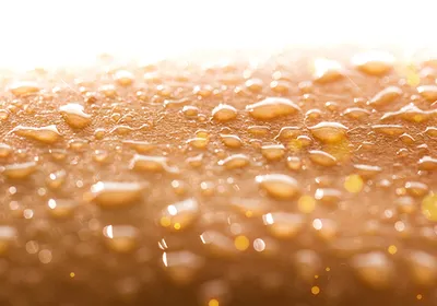 Sweat detail