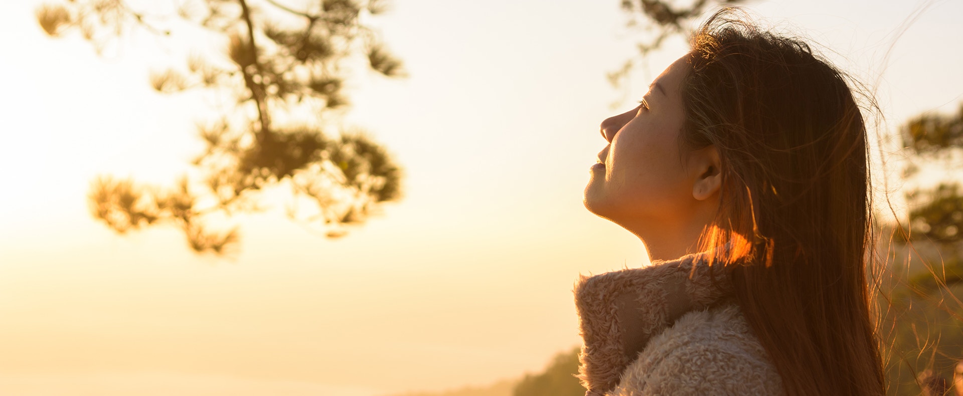 Face in Sun