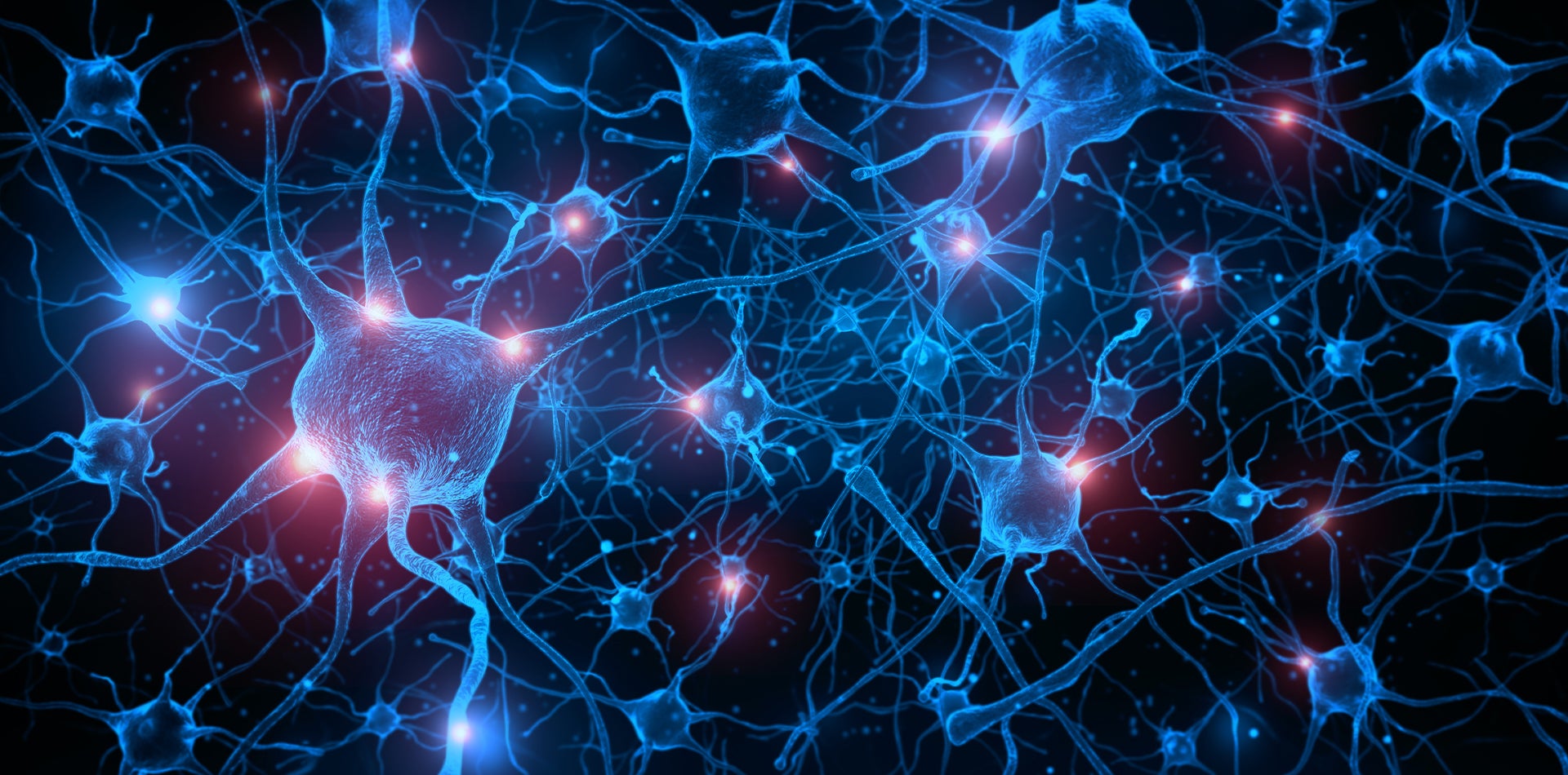 NeuronCells_Hero_Masthead.jpg