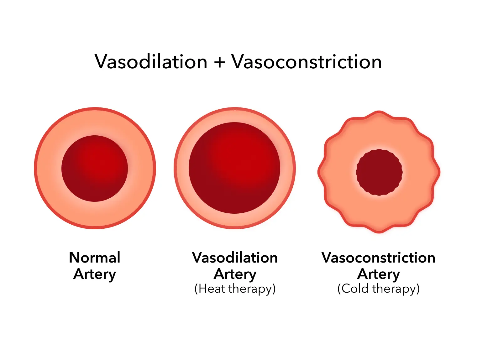 Contrast Therapy Blog Graphic.webp