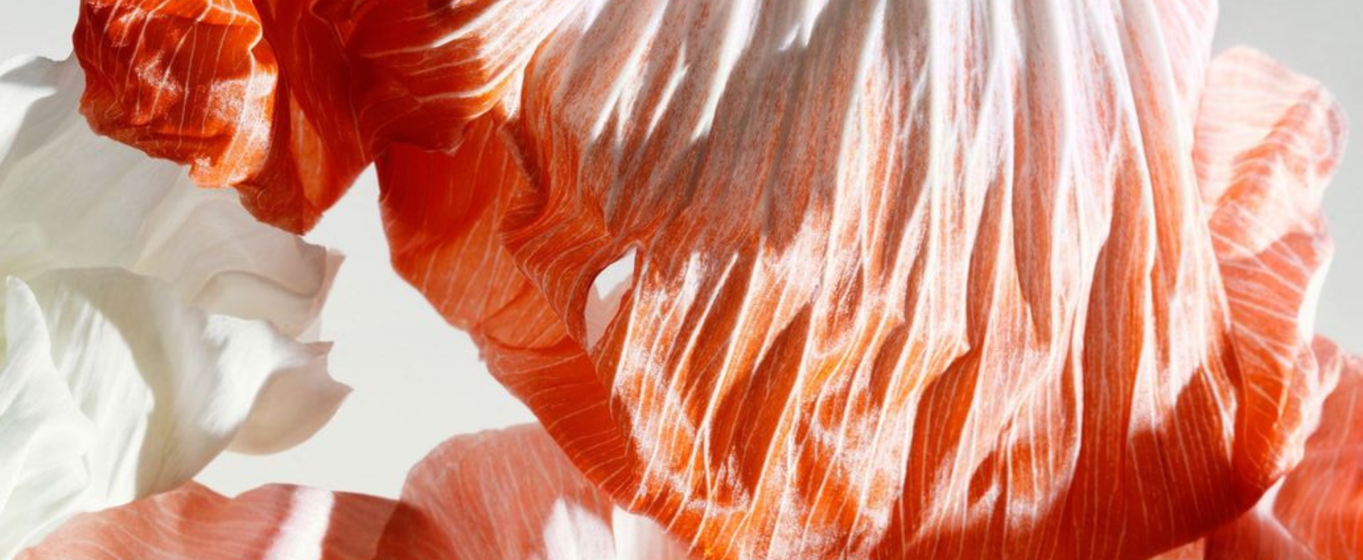 Large masthead - Menopause (1920 x 790 px).png