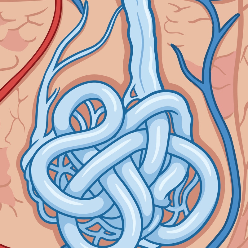 Eccrine