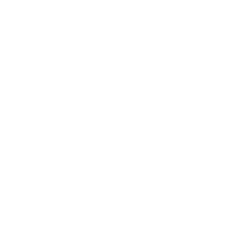 Sauna Detox Icon