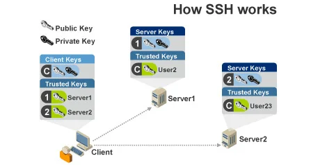 A diagram showing how SSH works.