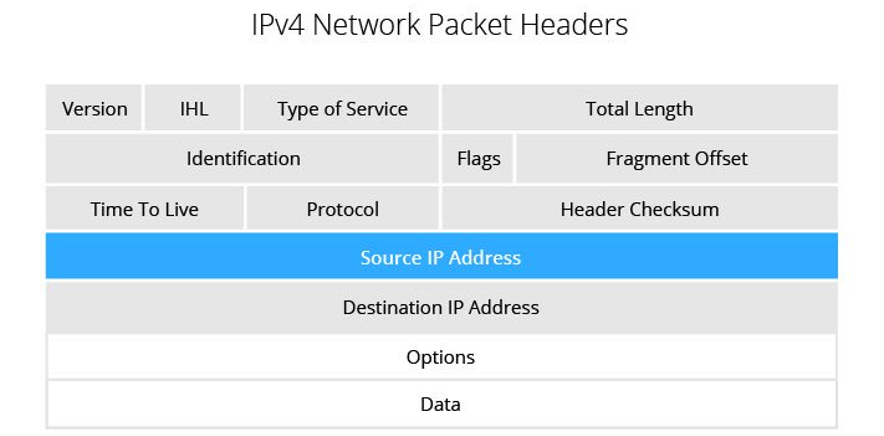 IPv4 Packet Header diagram. The first row lists version, IHL, Type of Service, and Total Length, the second row lists Identification, Flags, and Fragment offset, the third row has Time to Live, Protocol, and header checksum, the fourth row says Source IP address, the fifth row says Destination IP address, the sixth row says Options, and the seventh row says Data.