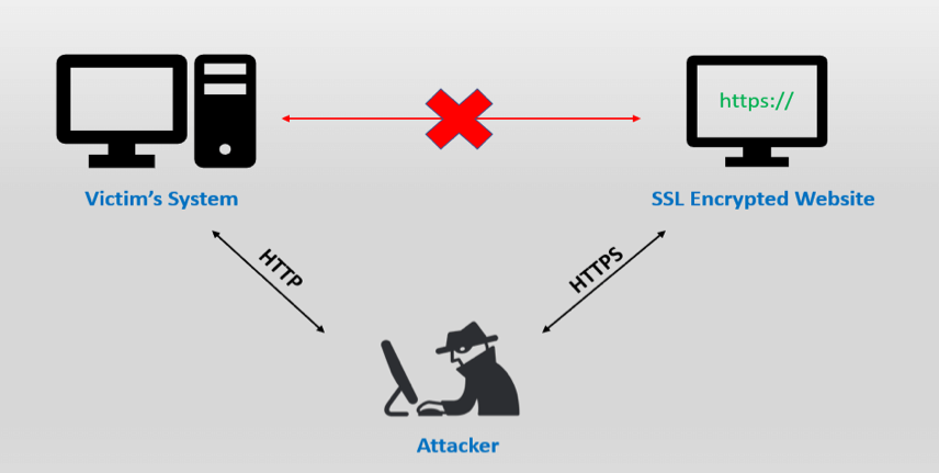 A diagram of the relationship between a victim's system, an SSL encrypted website, and an attacker.