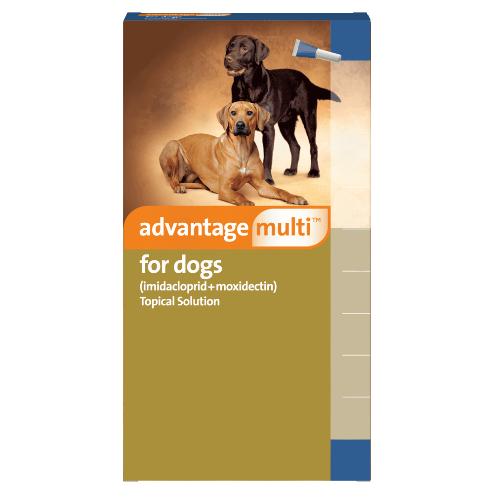 Advantage Multi Pack Shot