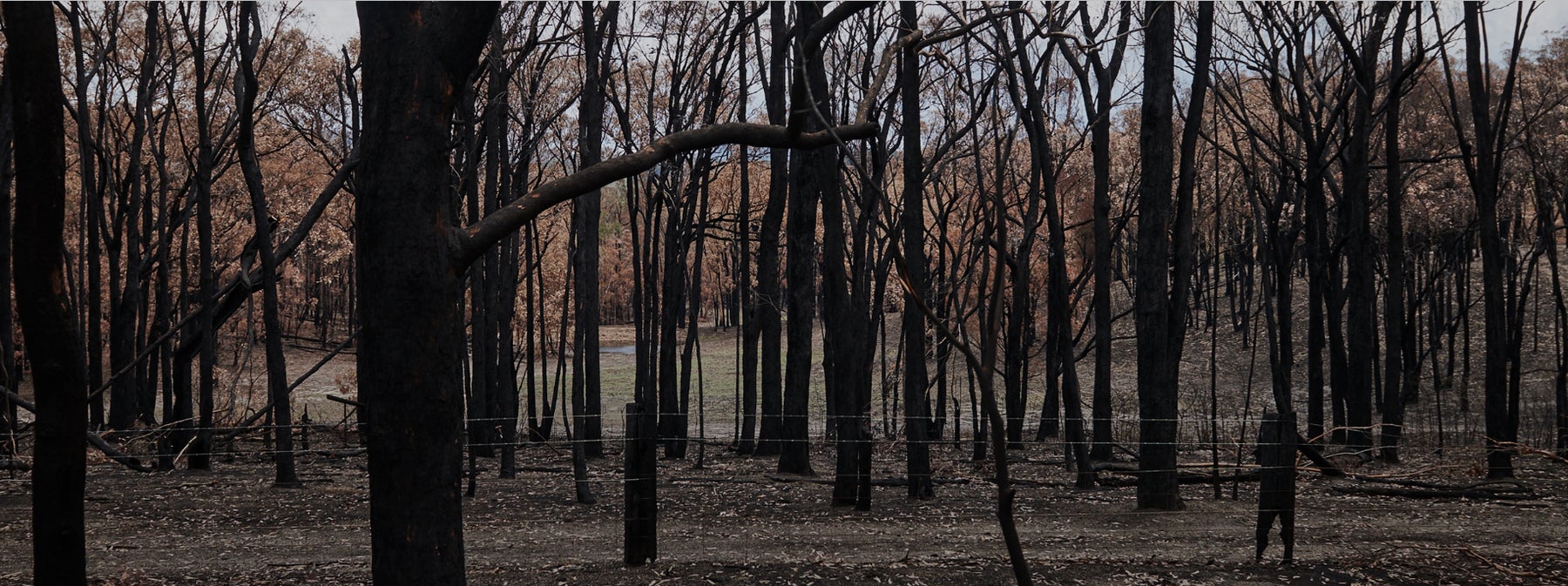 Bushfire affected land