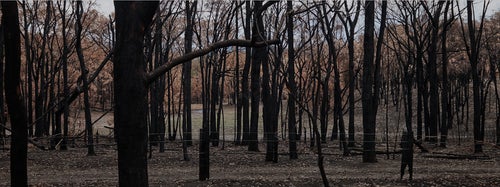 Bushfire affected land