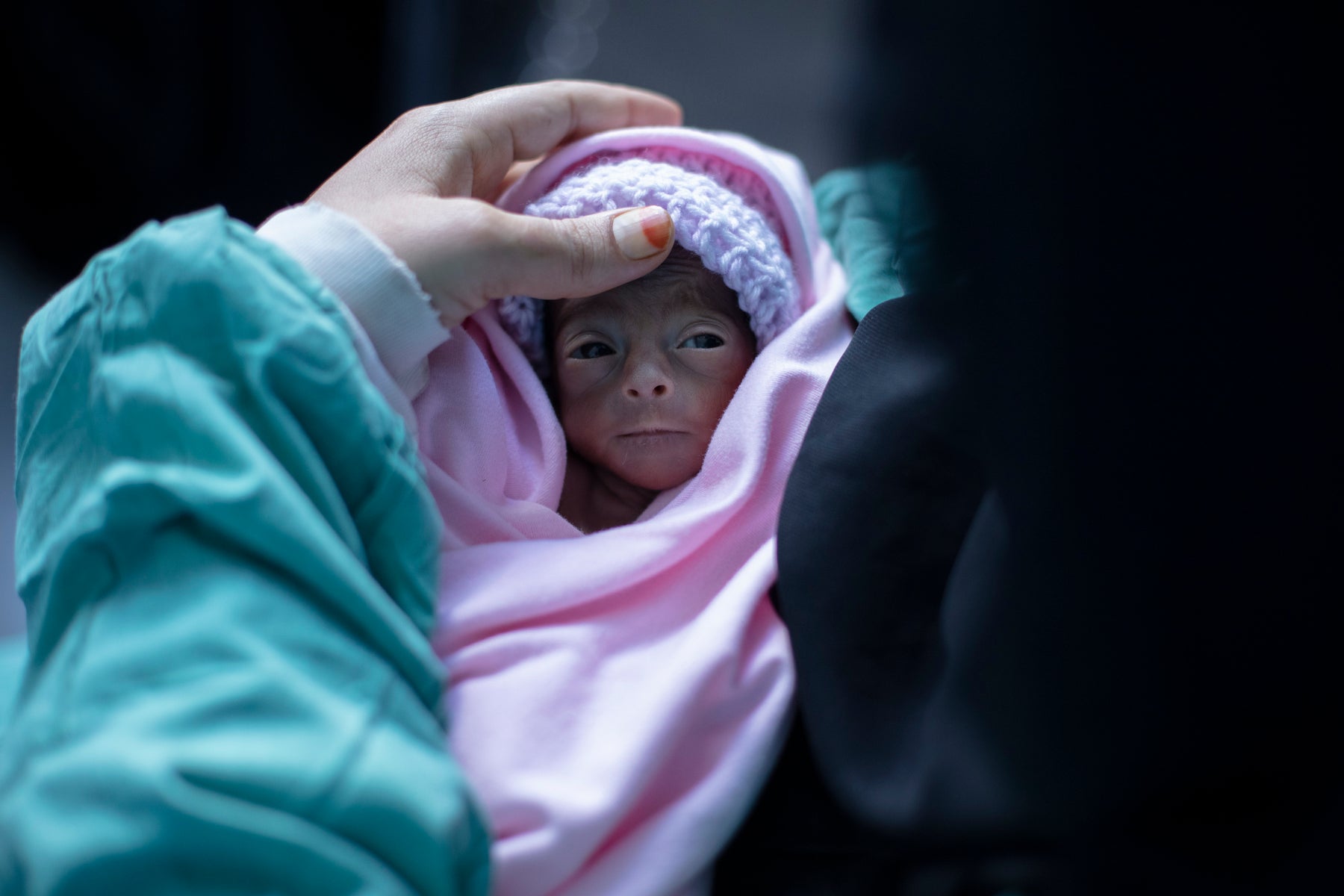 Premature baby wrapped in pink blanket
